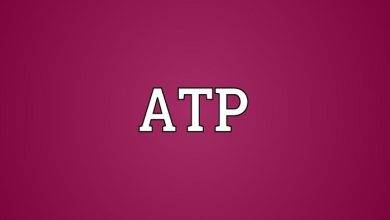 What Is ATP Full Form Slang