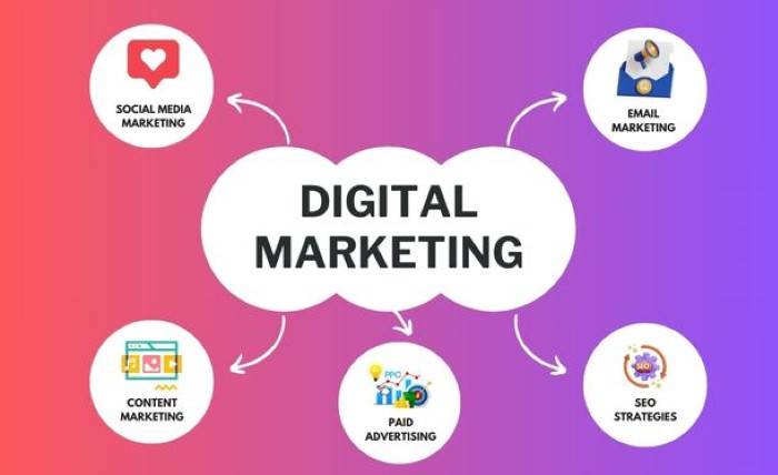 Beyond the Search Bar How a Digital Marketing Agency Navigates the Path to Number One